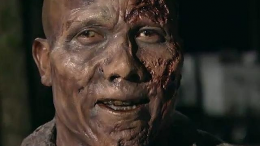 hines ward, zombie, walking dead