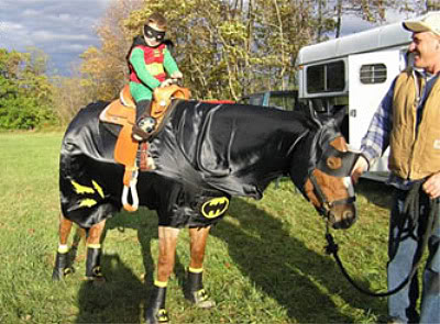 batman riding horse statue