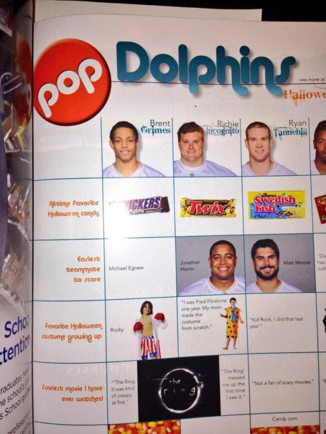 dolphins-incognito-martin-program