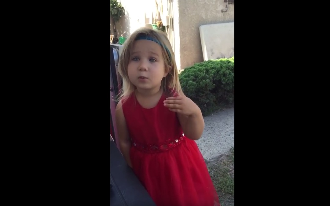 Watch this little flower girl explain to her father how important her job is