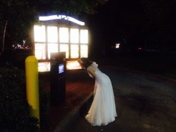 Drunk Bride Orders Taco Bell After Wedding Reception